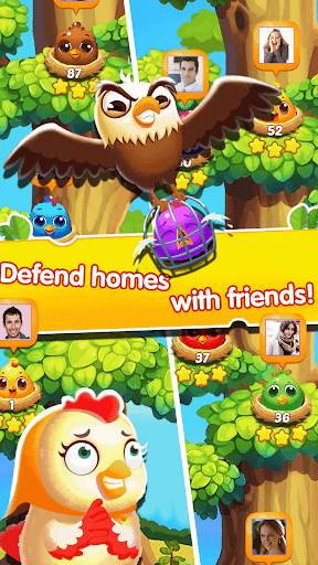 Chicken Splash 2 - Collect Eggs & Feed Babies screenshot 12