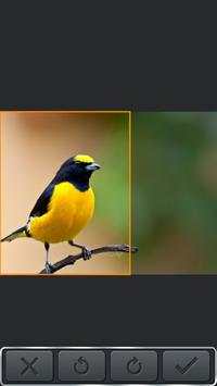 Cortar Pegar Photo Editor screenshot 3