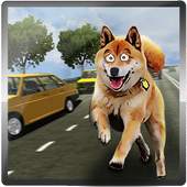 Dog Racing: Crazy Race Game 1.4