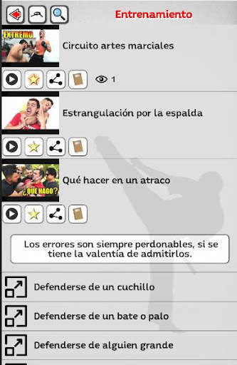 Artes Marciales - Lecciones screenshot 5