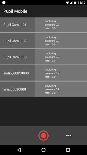 Pupil Mobile screenshot 1
