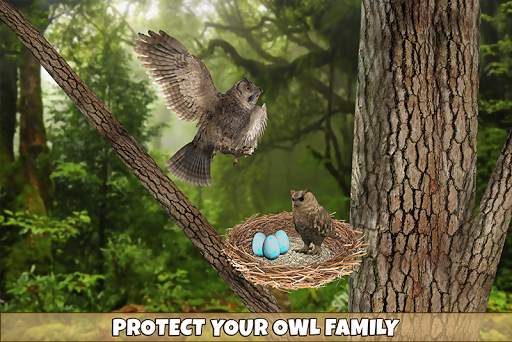 Owl Bird Simulator Birds Game screenshot 3