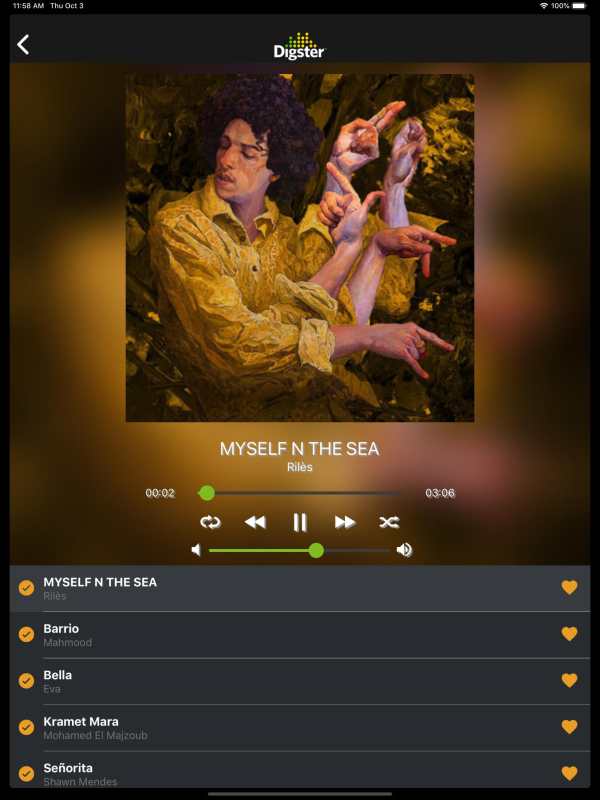 DIGSTER MAROC -MUSIC screenshot 13