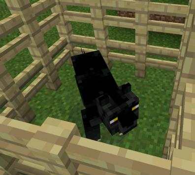 Big Cats Mod PE screenshot 1
