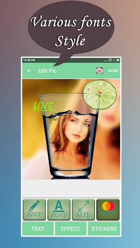 Pip Photo Director screenshot 3