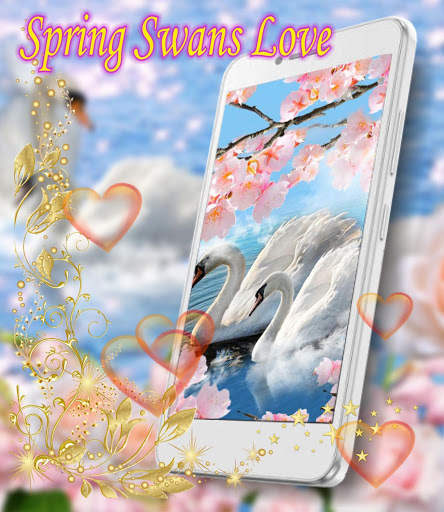 Swans Spring Love live wallpaper screenshot 1