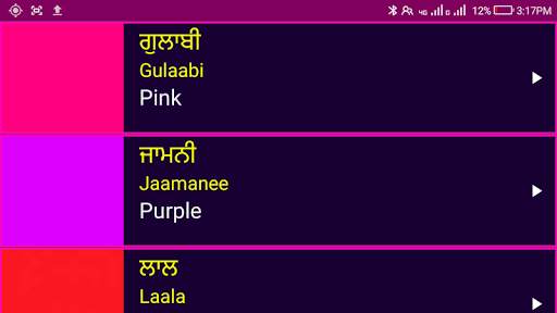 Learn Punjabi From English screenshot 16