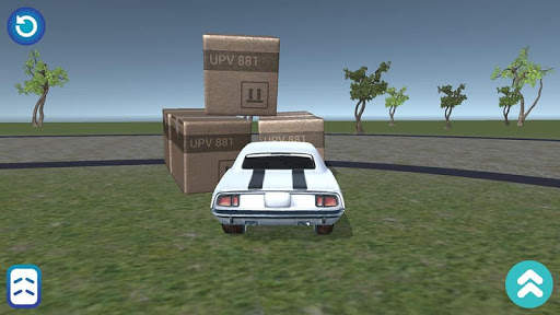 Acrobat Rally screenshot 4