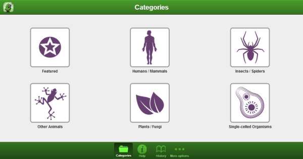smart Microscope Lite screenshot 7