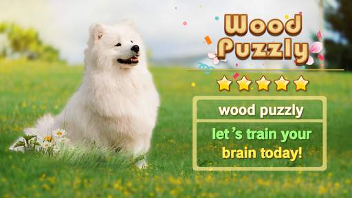 Wood Puzzle Mania - Block Puzzle Game screenshot 1