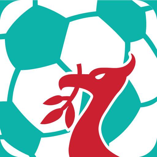 Liverpool Football Unofficial 4.1.9