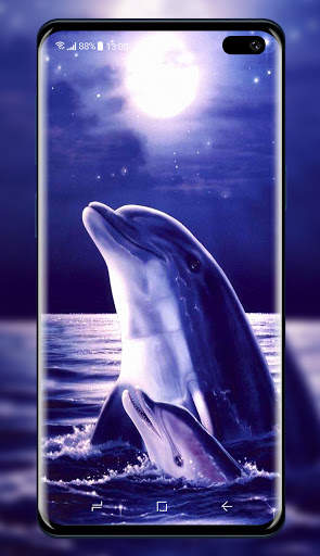 Dolphins Wallpaper screenshot 7