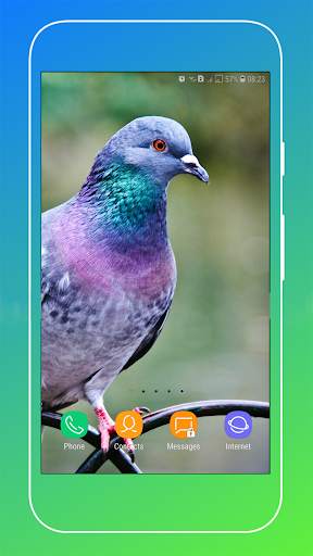 Pigeon Wallpaper screenshot 14