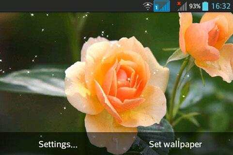 Rose screenshot 5