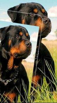 Wallpaper Rottweiler screenshot 5