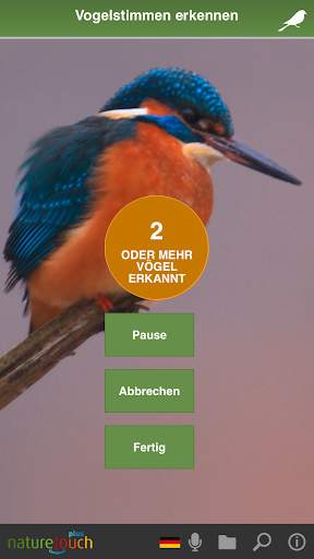 Vogelstimmen live erkennen - naturetouch स्क्रीनशॉट 3