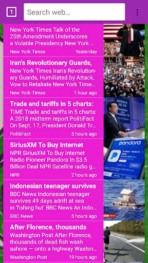 Indian u search browser screenshot 3