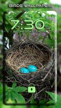 Bird wallpapers screenshot 8