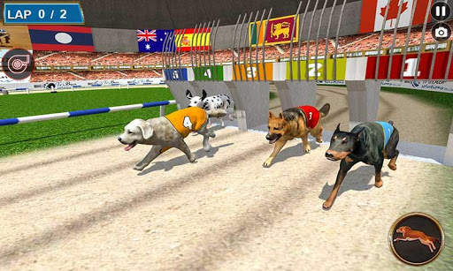 Real Dog Racing Tournament screenshot 1