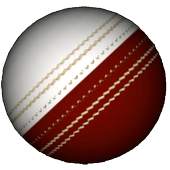 3D Cricket Ball 1.00
