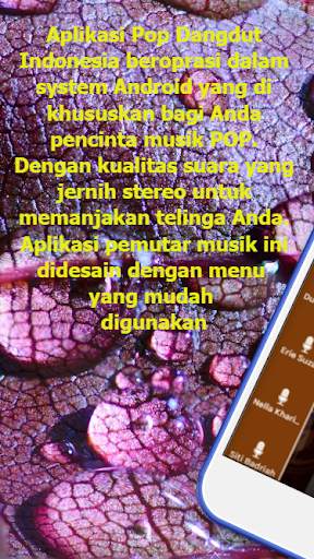 Musik Dangdut Indonesia screenshot 2
