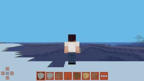 MultiCraft pro edition 2 screenshot 2