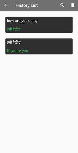 Punjabi - English Translator screenshot 4