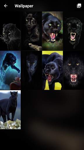 Black Panther Lock Screen 5 تصوير الشاشة
