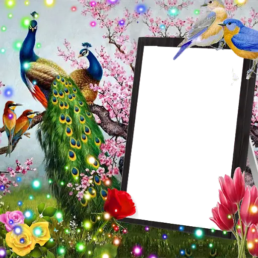 Love Birds Insta DP : Bird DP  screenshot 1