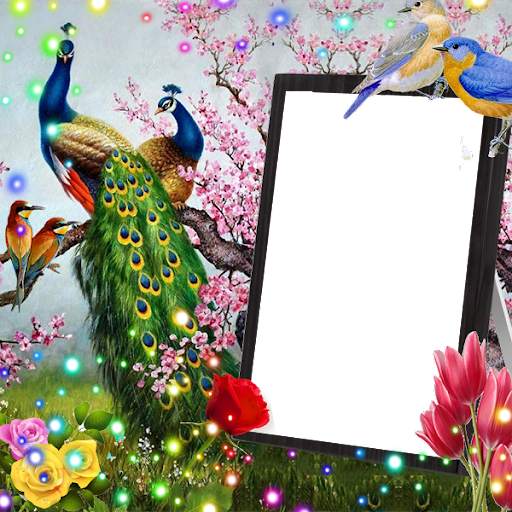 Love Birds Insta DP : Bird DP  screenshot 1