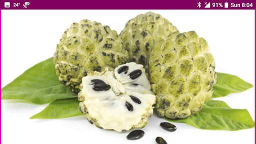Learn Marathi Fruits and Vegetables Names скриншот 10