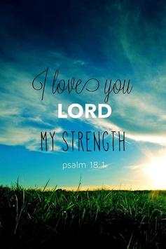 Christian Wallpapers HD screenshot 8