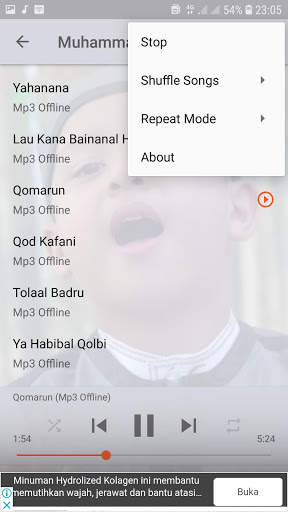 Sholawat Muhammad Hadi Assegaf Offline screenshot 6