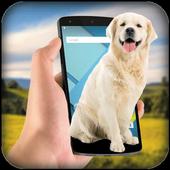 Dog On Screen icon