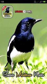 Bird chirp Copsychus saularis screenshot 1