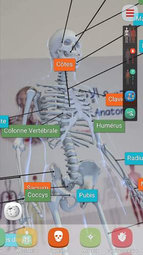 Human Anatomy AR screenshot 7