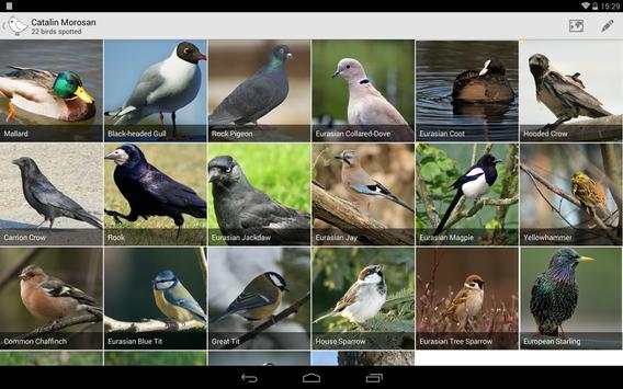 Bird Watcher screenshot 13