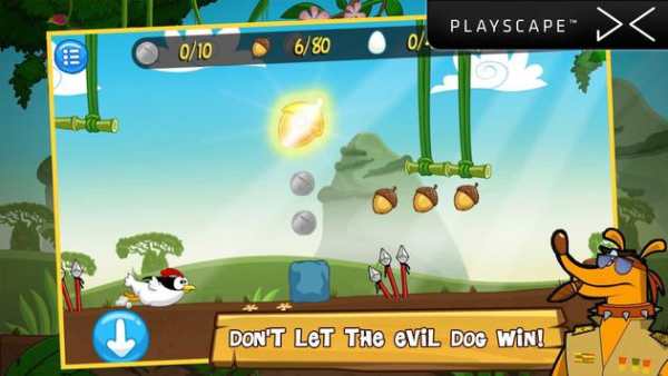 Ninja Chicken Adventure Island screenshot 5