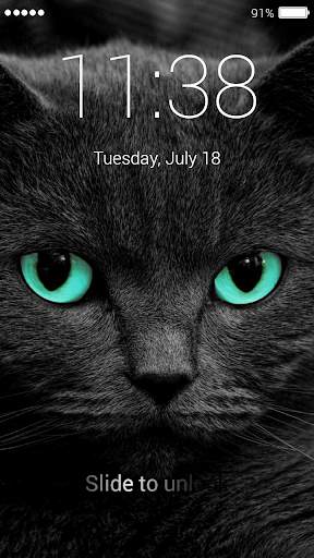 Cat Password Lock Screen screenshot 1