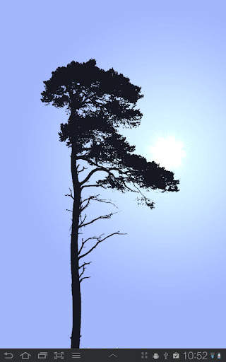 Misty Forest Free screenshot 8