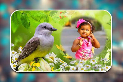 Birds Photo Frames screenshot 10