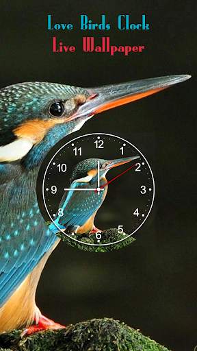 Love Birds Clock Live Wallpaper - Analog Clock screenshot 4