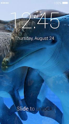 Dolphins Wallpapers & Lock screenshot 7