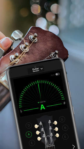 Guitar Tuner Pro: Music Tuning screenshot 2