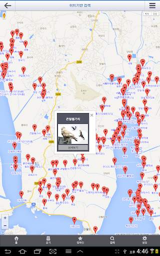 한국의 조류(Birds of Korea) screenshot 19