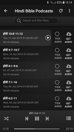 Hindi Audio Bible & Radio screenshot 8