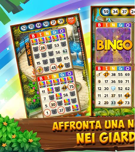 Bingo Quest: Summer Adventure screenshot 1