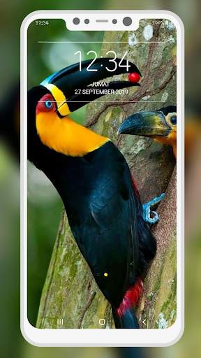 Bird Wallpaper 7 تصوير الشاشة