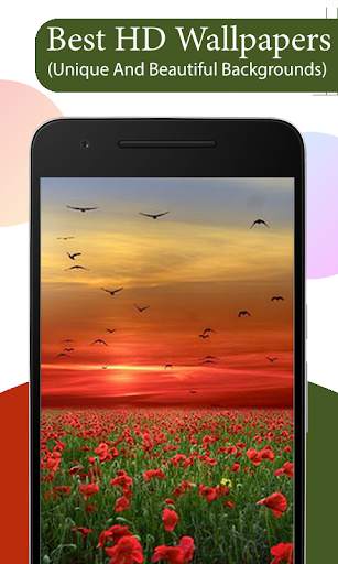Sunset Wallpapers HD 3 تصوير الشاشة