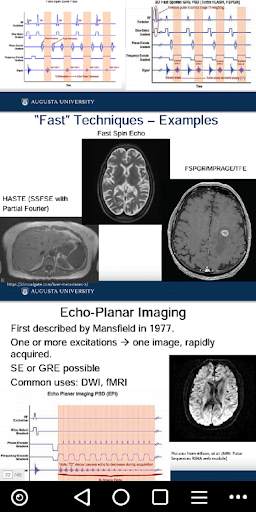 Overview of MRI Pulse Sequences screenshot 6